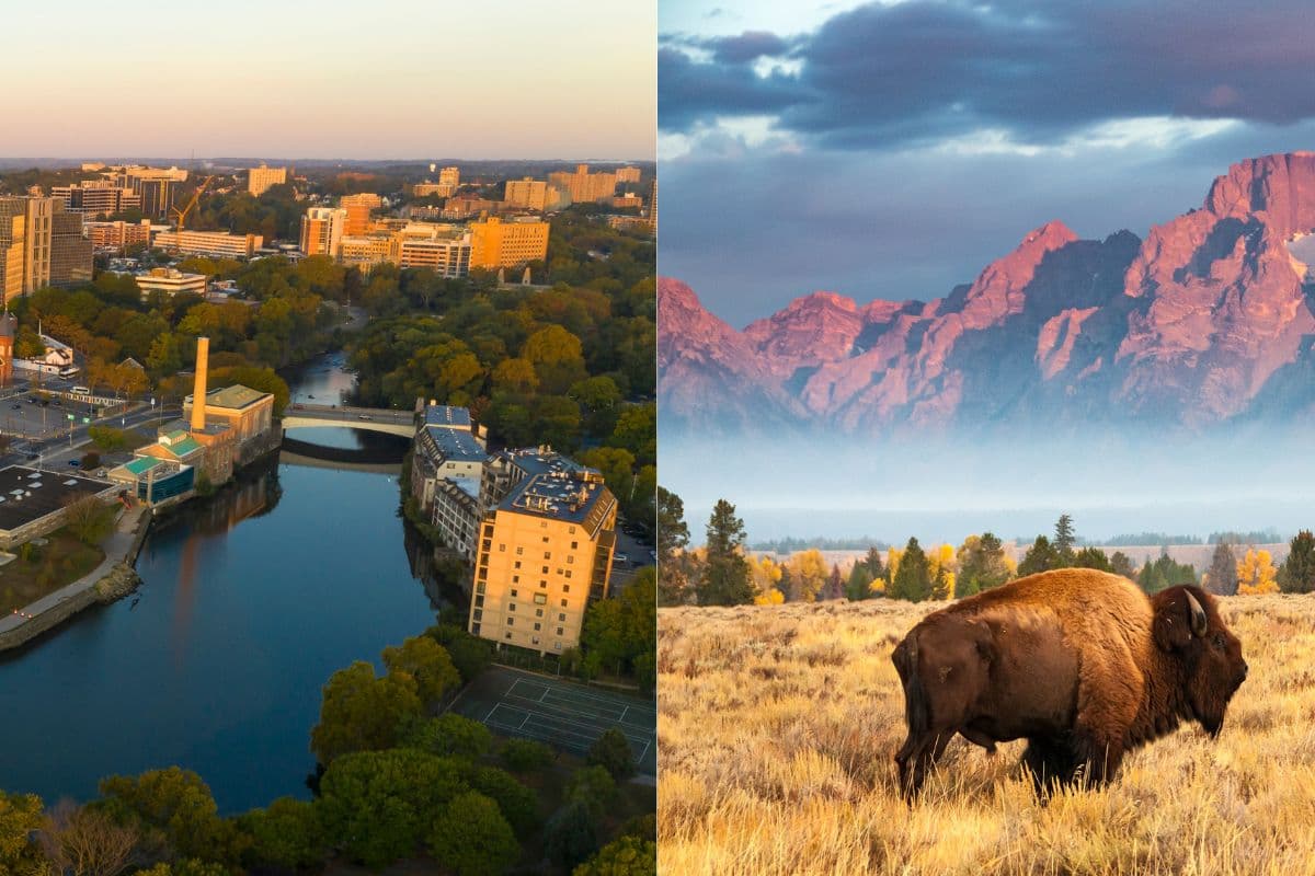 Wyoming vs Delaware LLC Formation Guide